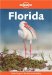 Lonely Planet Florida cover