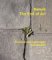  Alan Sonfist: Nature, the End Of Art  Environmental Landscapes