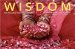 Wisdom : 365 Thoughts from Indian Masters cover