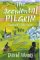 The Accidental Pilgrim : Travels with a Celtic Saint cover