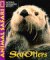 Sea Otters cover