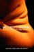 The Obesity Epidemic : Science, Morality And Ideology cover