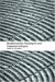 Mediterranean Paradigms And Classical Antiquity cover