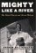 Mighty Like a River : The Black Church and Social Reform cover