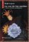 La Voz De Los Suenos / The voice of the dreams : y otros cuentos prodigiosos / and other prodigious stories cover