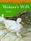Webster's Walk cover