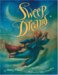  Sweep Dreams