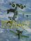 Republic's A-10 Thunderbolt II : A Pictorial History cover