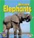 African Elephants cover