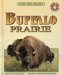 Buffalo Prairie cover