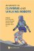 Advances in Climbing and Walking Robots : Proceedings of the 10th International Conference, (CLAWAR 2007), Singapore 16-18 July 2007 cover