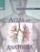 Atlas De Anatomia/Atlas of Anatomy : Conoce Y Cuida Tu Cuerpo cover