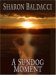 A Sundog Moment : A Novel of Hope cover