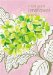 Tricia Guild Lime Flower Journal cover