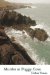 Murder at Foggy Cove cover