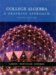  College Algebra: A Graphing Approach