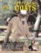  How to Raise Goats: Everything You Need to Know Meat, Milk, Fiber & Pet Goats Breed Guide & Purchasing Proper Care & Healthy Feeding Showing Advice