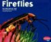 Fireflies cover