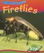 Fireflies cover