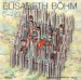 Elisabeth Bohm : Stadtstrukturen Und Bauten cover