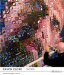 Chuck Close : Work cover