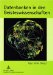 Datenbanken in Den Geisteswissenschaften cover