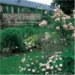 Monet's Passion 2008 Calendar : The Gardens at Giverny cover