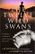 The Twelve Wild Swans : A Journey to the Realm of Magic, Healing, and Action cover