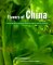 Flavors of China cover