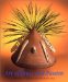Art of Grace and Passion : Antique American Indian Art cover