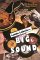 Little Labels--Big Sound : Small Record Companies and the Rise of American Music cover