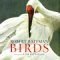Birds cover