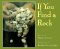  If You Find a Rock