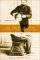 The End of the Soul : Scientific Modernity, Atheism, and Anthropology in France cover