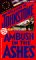 Ambush in the Ashes cover
