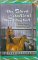 The Black Stallion's Blood Bay Colt cover