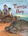 Turtle Bay cover