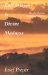 Enthusiasm and Divine Madness : On the Platonic Dialogue Phaedrus cover