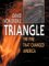 Triangle : The Fire That Changed America cover