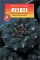 Peyote cover
