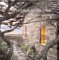 Cottages on the Coast : Fair Harbors and Secret Shores cover