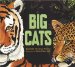 Big Cats cover