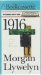 1916 : A Novel of the Irish Rebellion cover