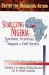Stabilizing Nigeria : Sanctions, Incentives, and Support for Civil Society cover