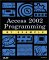 Access 2002 Programming by Example cover