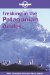Lonely Planet Trekking in the Patagonian Andes cover