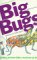 Big Bugs cover