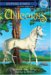 Unicorns cover