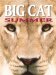 Big Cat Summer cover