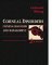  Corneal Disorders: Clinical Diagnosis and Management